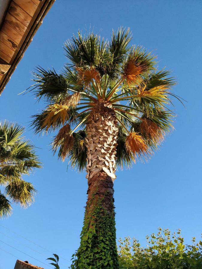 La Palmeraie Марсель Экстерьер фото