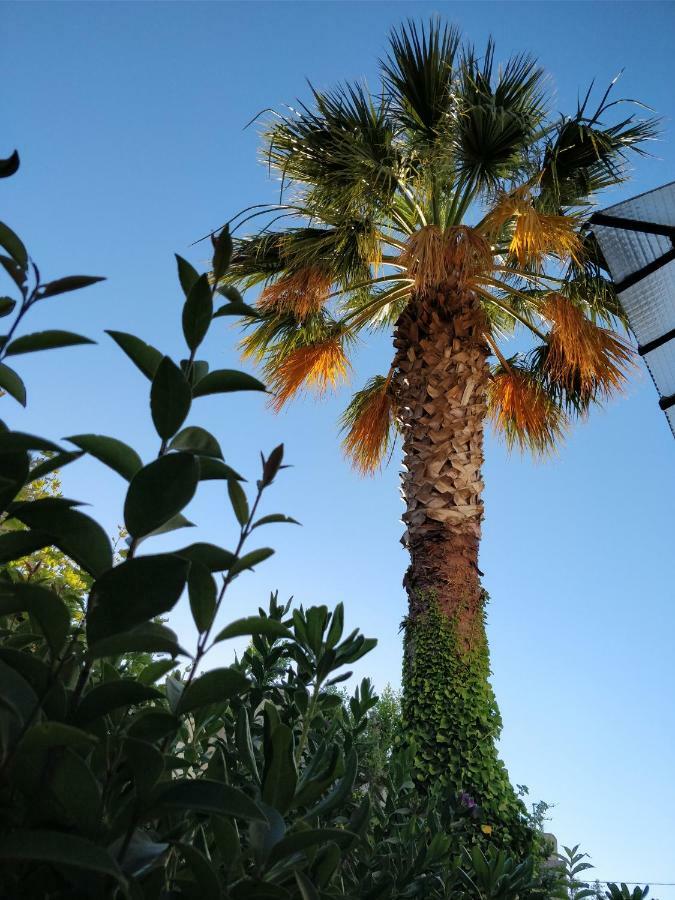 La Palmeraie Марсель Экстерьер фото